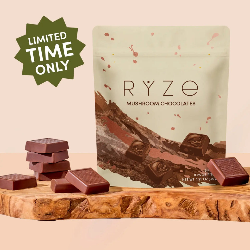 Mushroom Chocolates Rye (15 pieces) - Premium Mushroom Ready